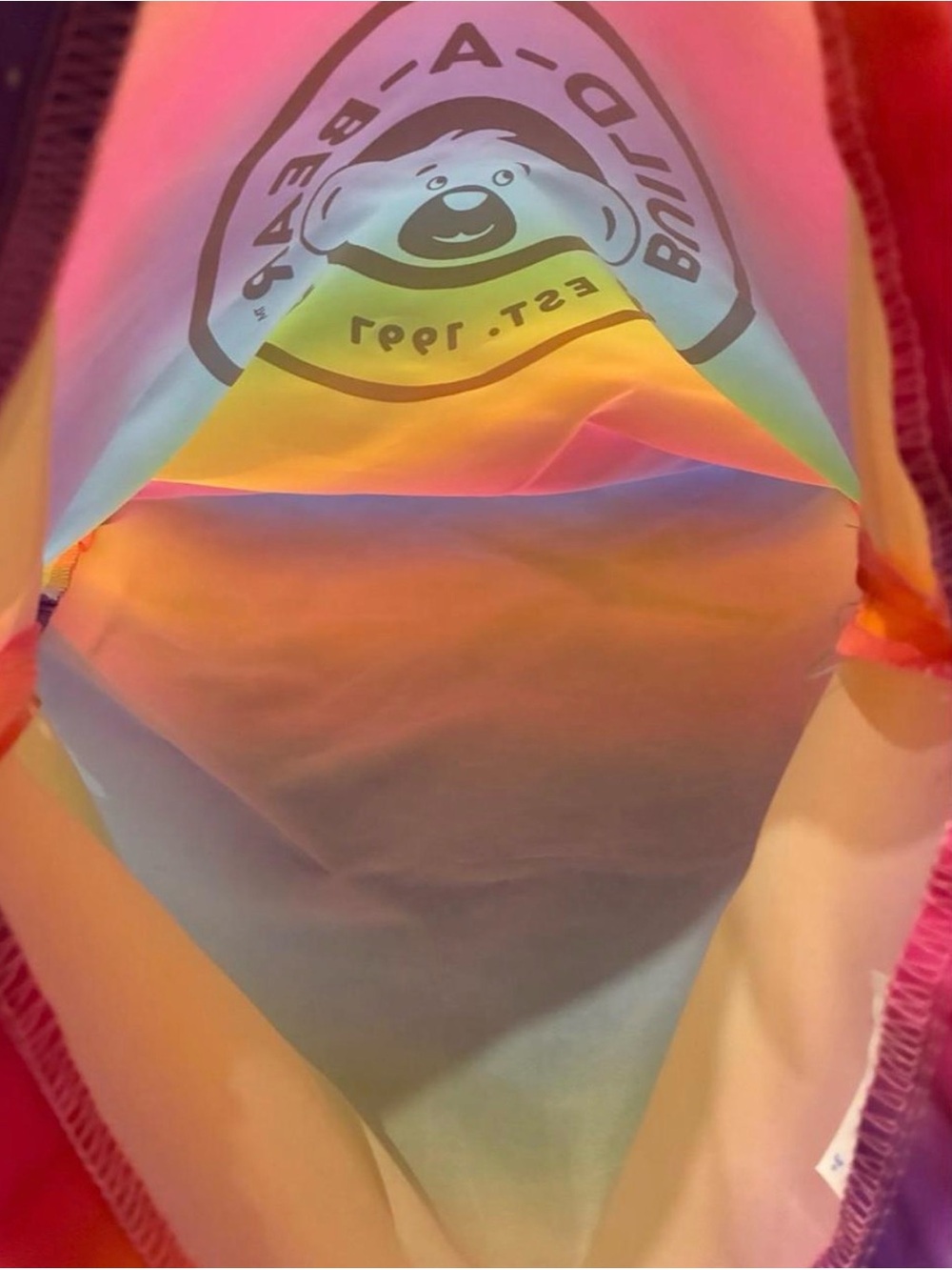 Build a bear rainbow Drawstring Backpack Carrier - Picture 4 of 8